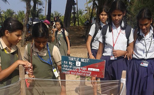 Biodiversity field visits