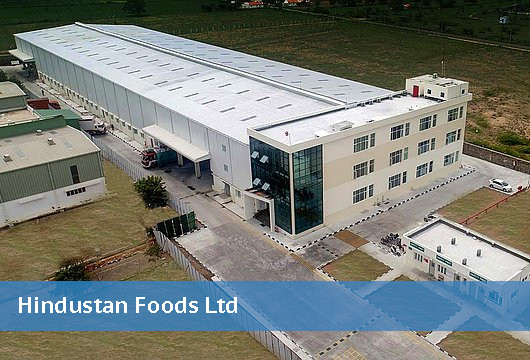 Hindustan Foods Limited